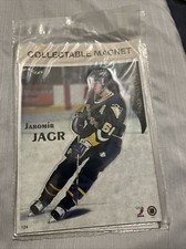 1996 pittsburgh penguins 8in magnets jaromir jagr/ by maggers New