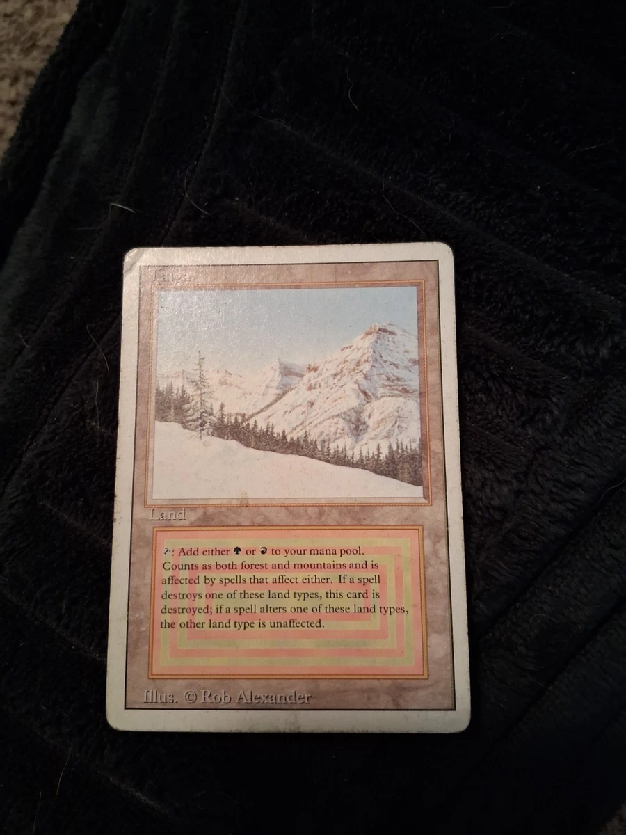 Taiga (Magic: The Gathering) Magic: The Gathering Wizards of the