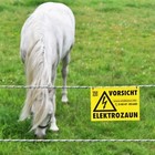 Bild 7 von 7