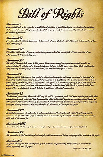 THE BILL OF RIGHTS U.S. Constitution First 10 Amendments 22x34 Wall POSTER - Picture 1 of 1