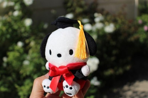 Pochacco Plushie, Graduation Series, Sanrio Plush, Sanrio Gift, Graduation Gift - Picture 2 of 6