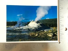 Vintage Postcard Castle Geyser Yellowstone National Park Unposted