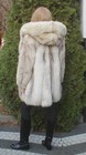 Bild 7 von 16