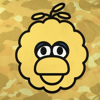 BAPE × SESAME STREET Milo T-shirt ABC camo yellow Big Bird A
