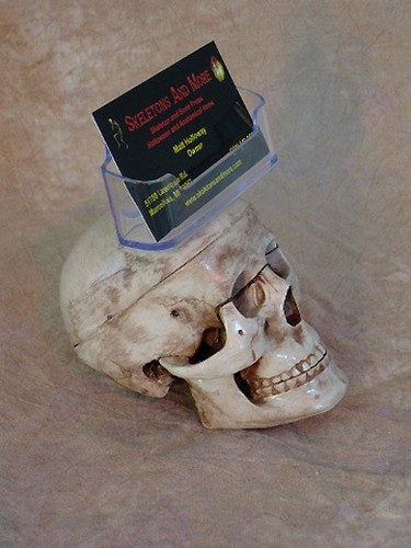 Skull Busines Card Holder, Halloween Prop, Skulls - Picture 3 of 4