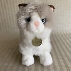 Aurora Miyoni Ragdoll Kitten Blue Eyed Plush 10" Realistic White Gray Fur Coat