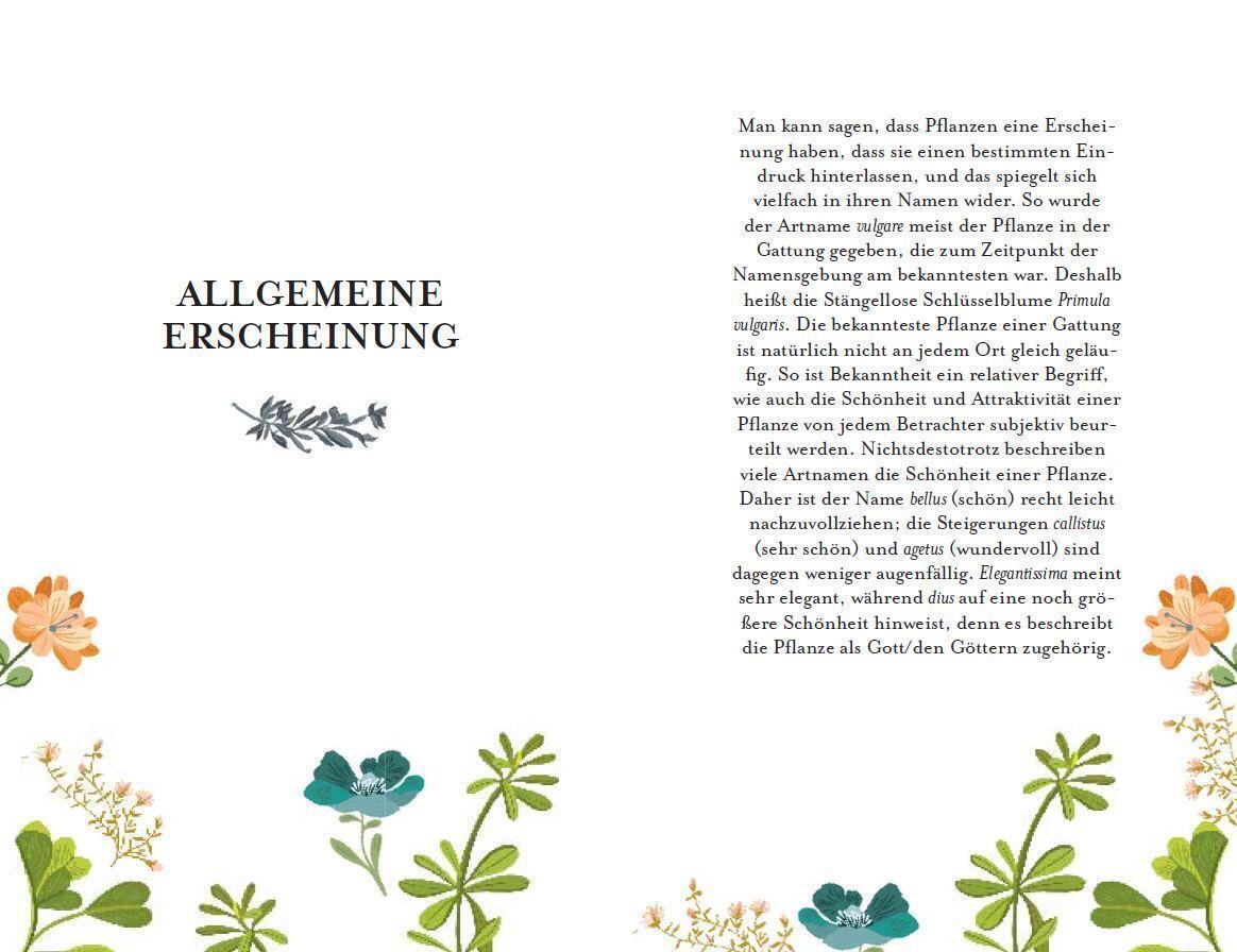 Thumbnail - Richard Bird | Gärtner-latein | Buch | Deutsch (2016) | 144 S. | Dva