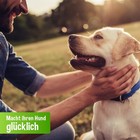 Bild 6 von 6
