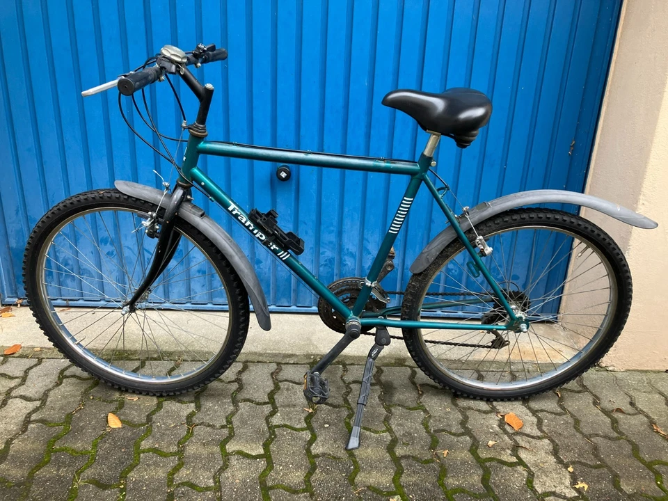 Fahrrad Mountainbike 26 zoll, Grün, 1993