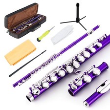 Closed Hole Flutes C 16 Key for Beginner, Kids, Student -Nickel Flute with Ca...