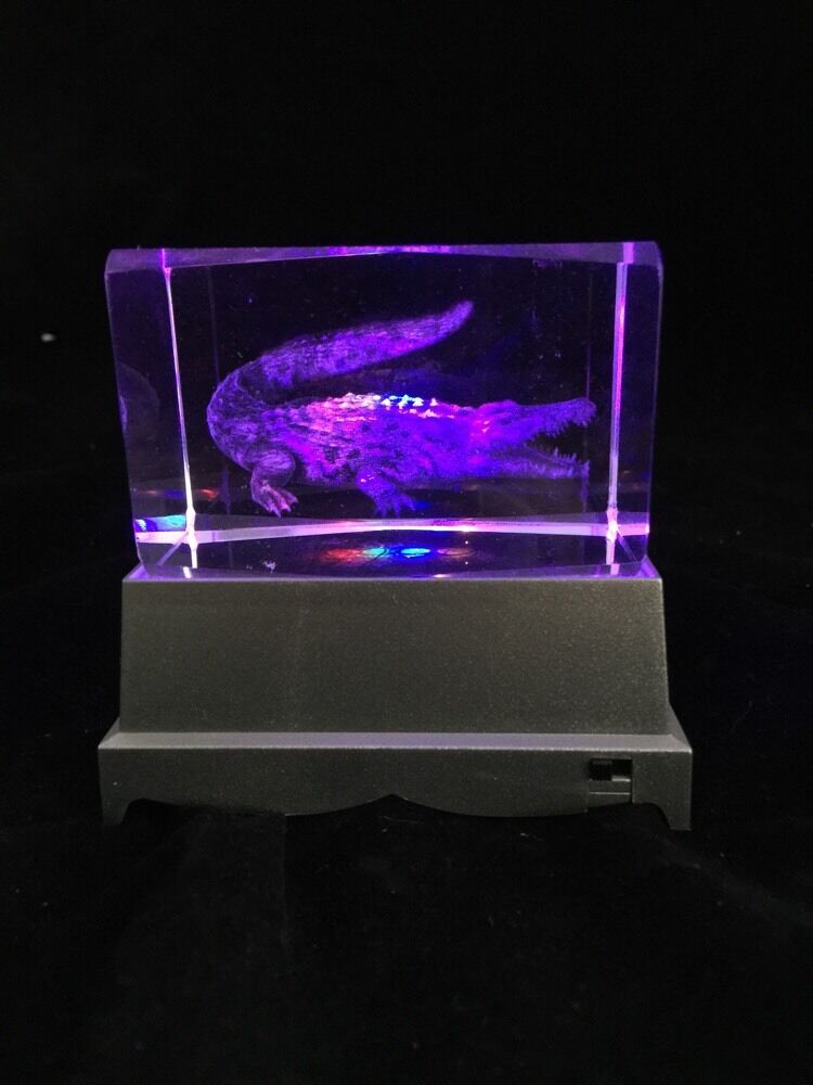 Picture 2 of 3