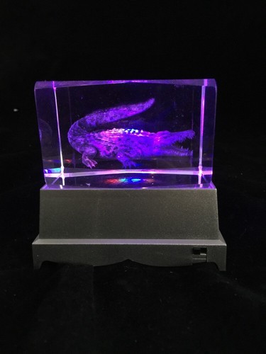Crocodile- 3D Laser Etched Crystal Block With 4 Lights LED Light base - Picture 2 of 3