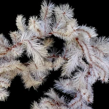 RUSTIC WHITE "BIRCH" CHRISTMAS GARLAND / 9 FT / ARTIFICIAL FARM HOUSE GARLAND