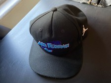 jordan 11 concord snapback