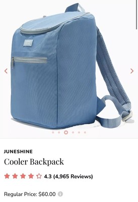 June Shine Insulated Cooler Backpack In Marine Blue - New with tags $60