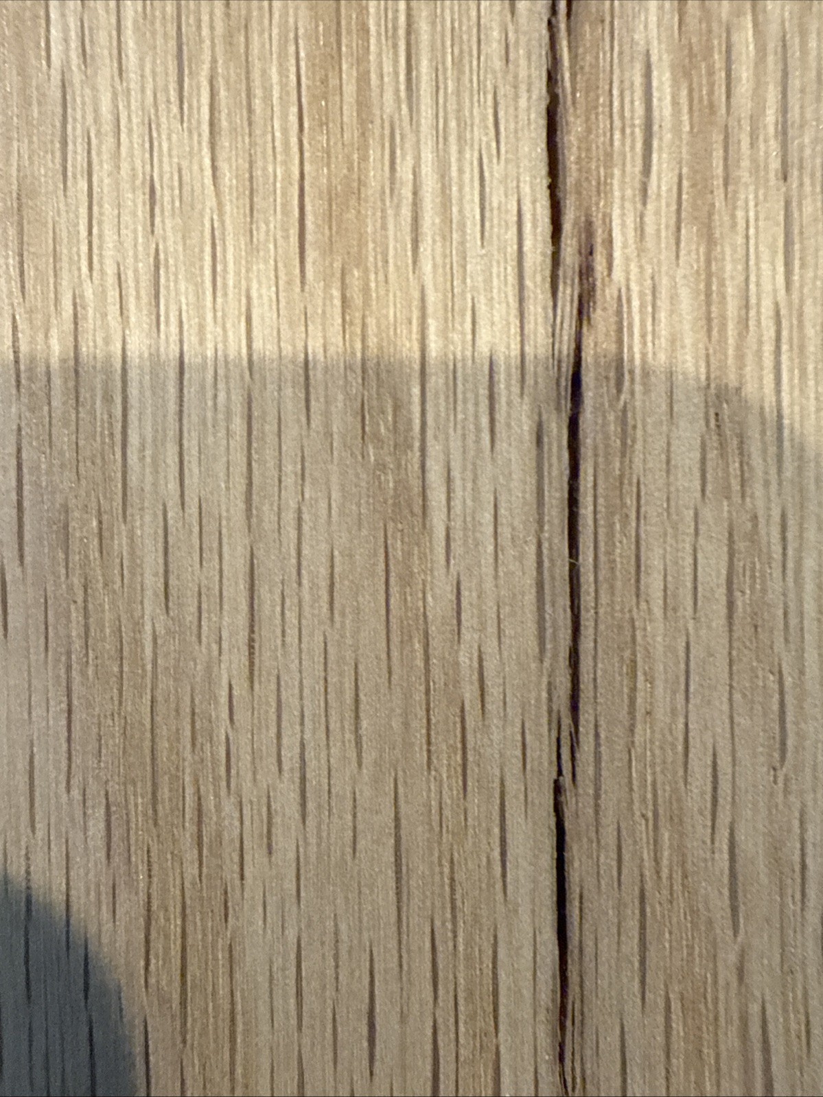 Picture 5 of 14