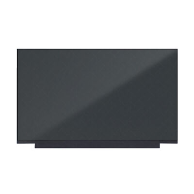 16.1'' 240Hz QHD 2K IPS LED LCD Screen Display Panel NE161QHM-NZ1 40Pins