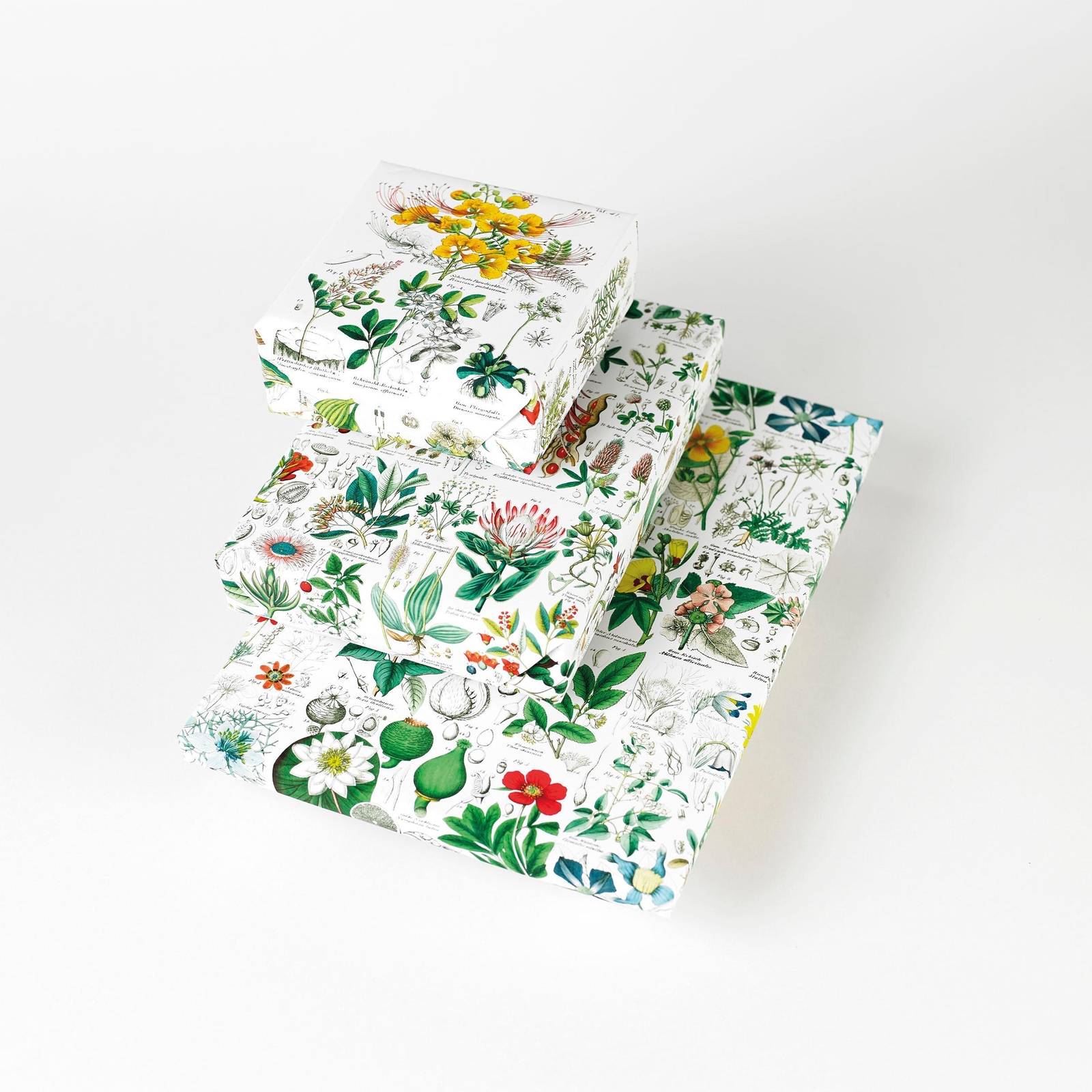 Thumbnail - Flora | Gift & Creative Paper Book Vol. 85 | Pepin Van Roojen |