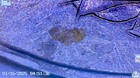 Foto 13 di 20