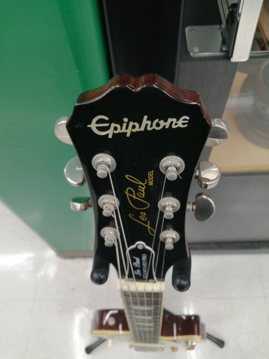 ギター Epiphone Les Paul Standard Epiphone Slash Les Paul Standard Electric Guitar - Anaconda