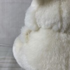Bild 6 von 11