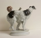 Foto 3 di 8