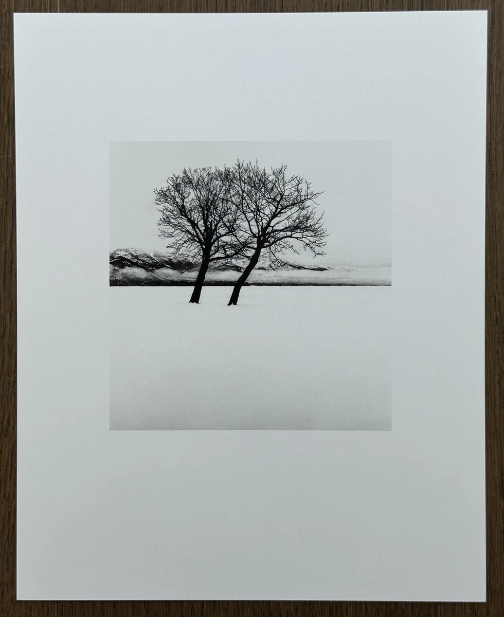 michael kenna products for sale | eBay