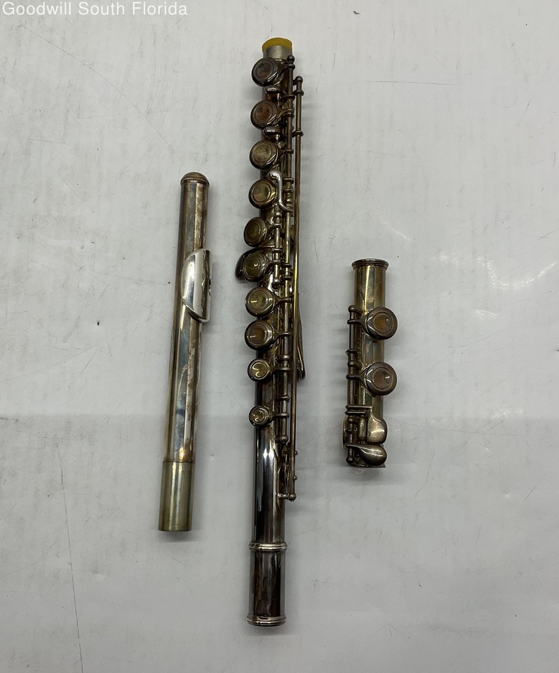 Silver-Tone Single Reed Western Concert Woodwind Musical Instrument ...