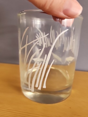 Vaso transparente Marushka Sand Piper Beach Dunas Lowball Whisky Rocks vaso RARO 🐦 - Imagen 6 de 10