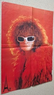 AFFICHE MICHEL POLNAREFF.40X60