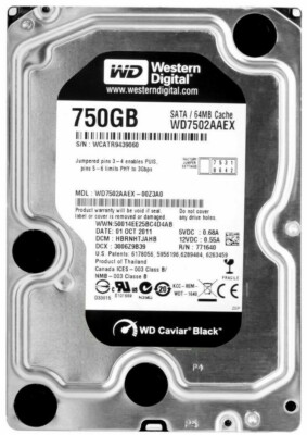 Western Digital Caviar Black 750GB,Intern,7200RPM online kaufen | eBay 