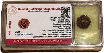 Certified 5 Mukhi (Five Faces) Rudraksha Bead, Sagittarius Sun Sign, Throat Chak