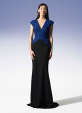 NWT TADASHI SHOJI V-Neck Embroidery and Crepe Cap Sleeve V-Neck Gown Size - 6
