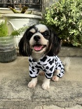 Cow Print Dog Costume Stylish Dog Hoodie with Hat Clothes Sweatshirt Fleece