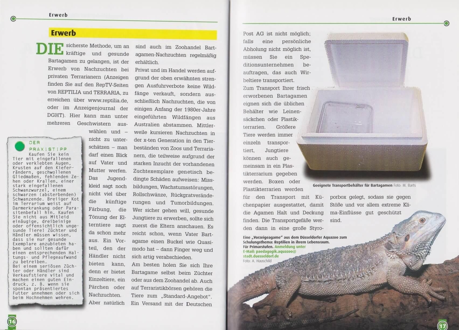 Thumbnail - Die Bartagame, Andree Hauschild