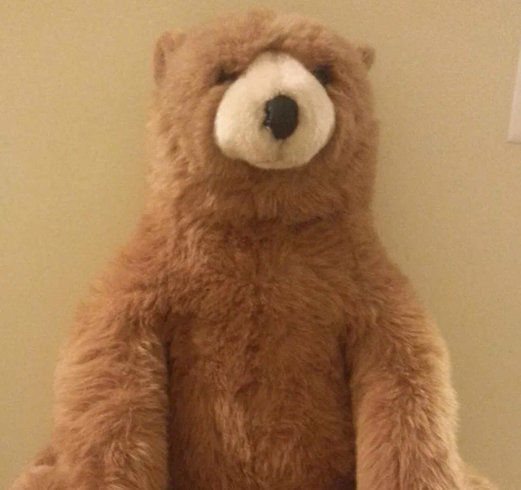 Avanti 28 Inch Brown Bear Plush Designed Jockline Italy 1982 by