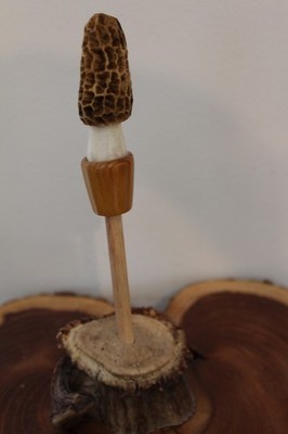 Custom Made Whitetail Deer Antler Morel Turkey Round Tip Pot Striker