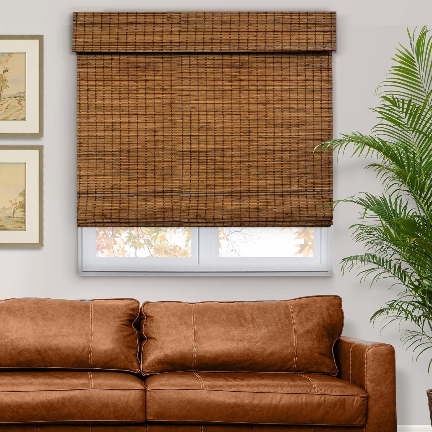 Chicology Cordless Light Filtering Natural Woven Bamboo Roman Shade 27"W x 64"L