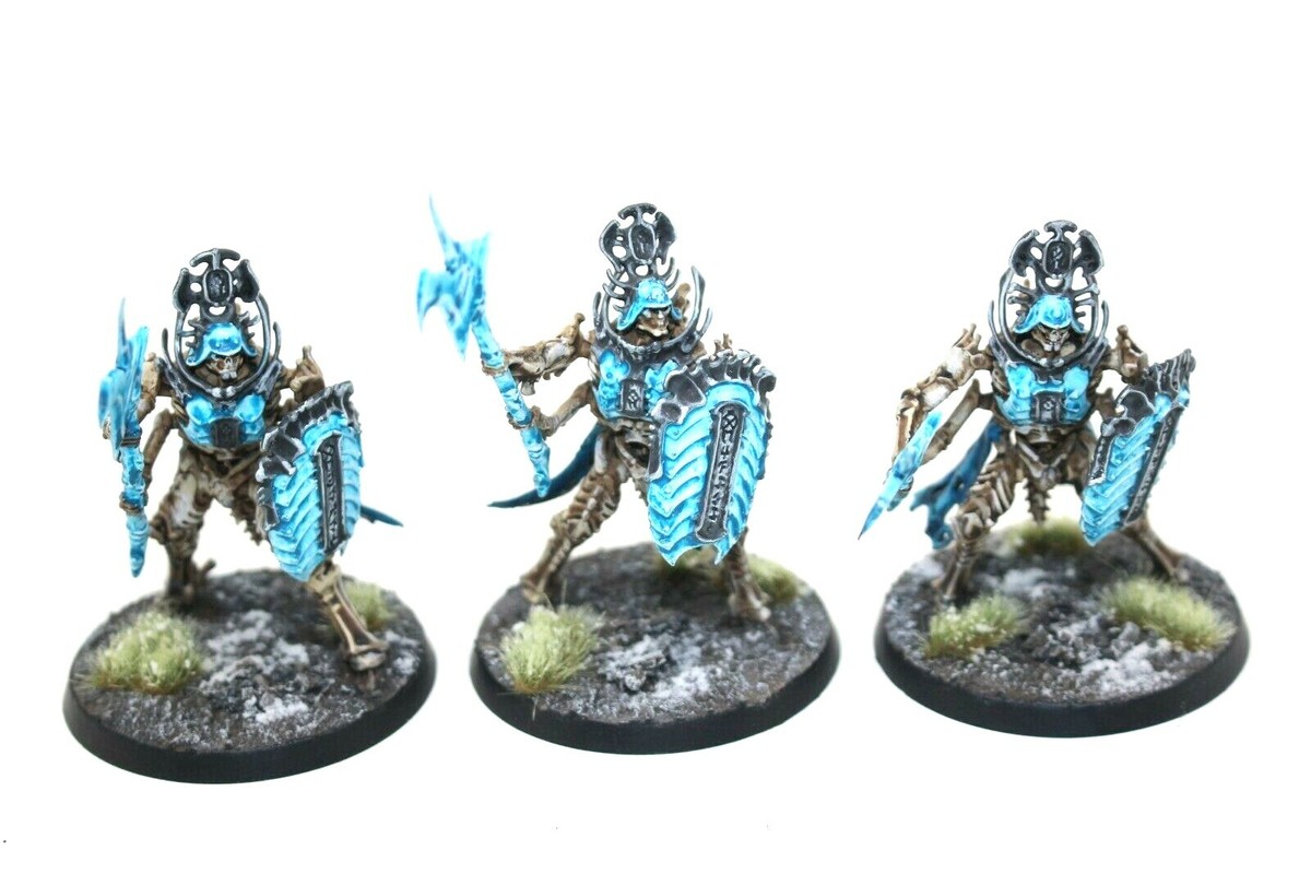 Ossiarch Bonereapers Immortis Guard - Commission (READ DESCRIPTION