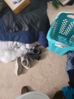Foto 5 di 5
