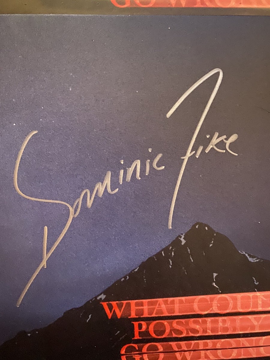 米LP Dominic Fike What Could Possibly Go Wrong 19439781531 Columbia /00400 Dominic Fike – What Could Possibly Go Wrong – Vinyl (Signed