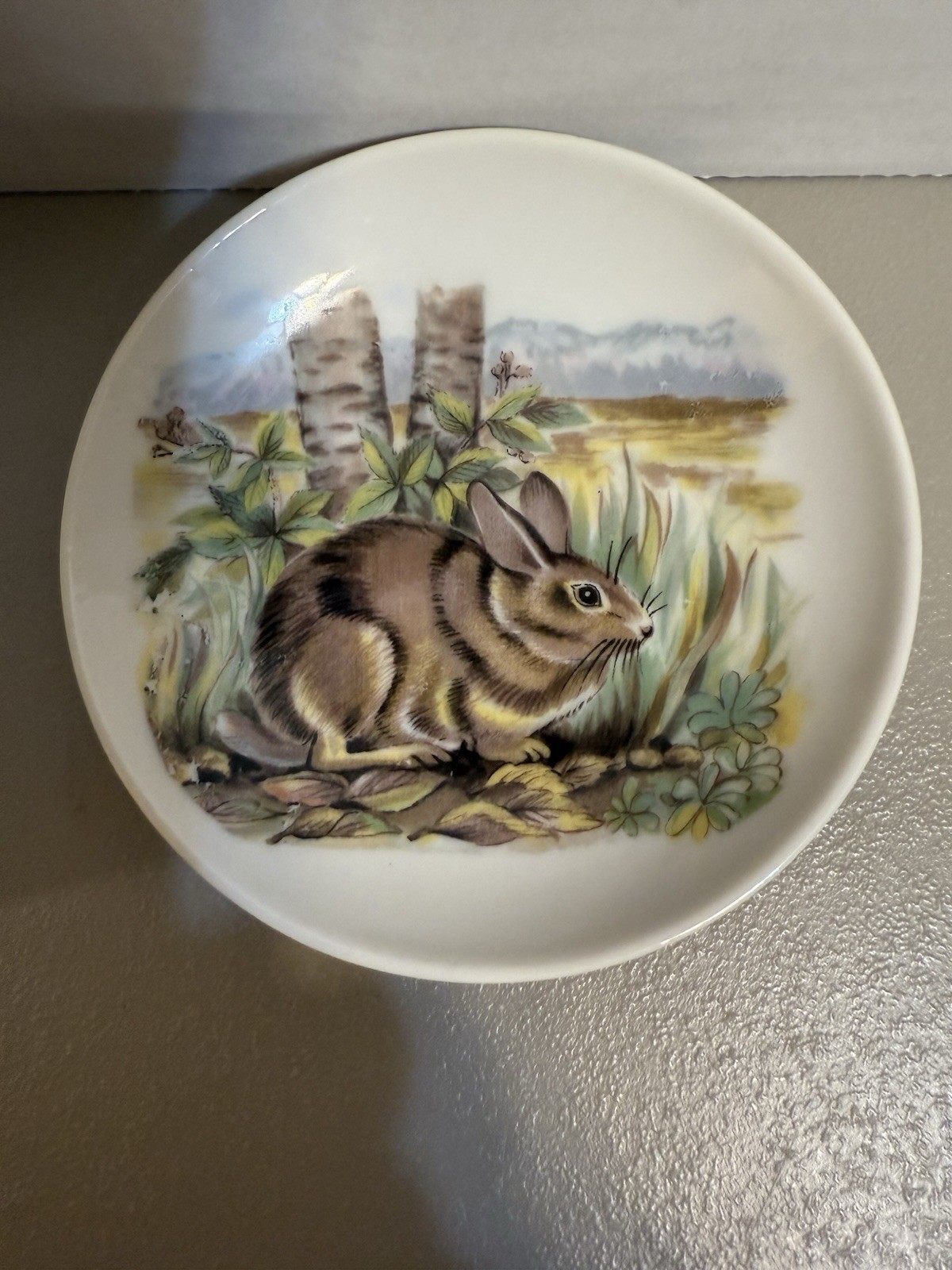 Picture 6 of 6