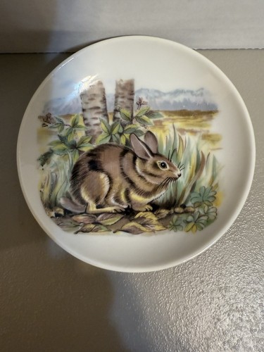 Set of 4 Vintage Woodland Mini Plates by "Action Lobeco" in Japan - Picture 6 of 6