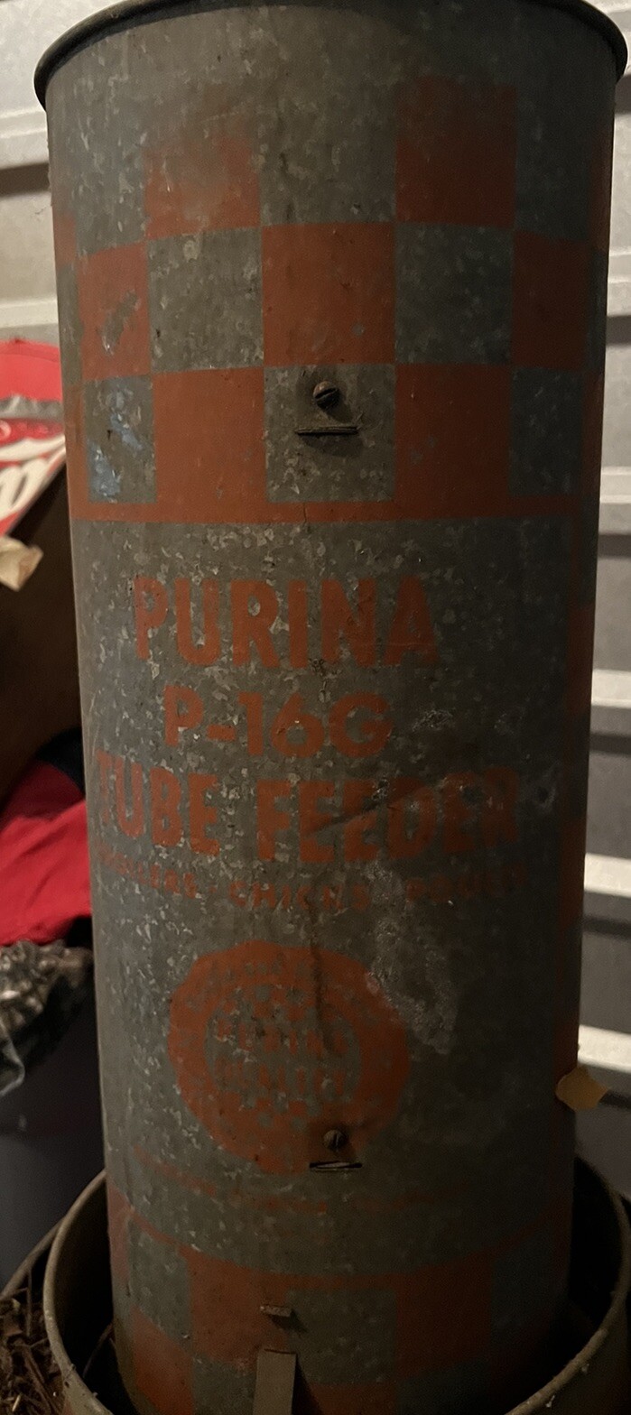 Picture 4 of 13