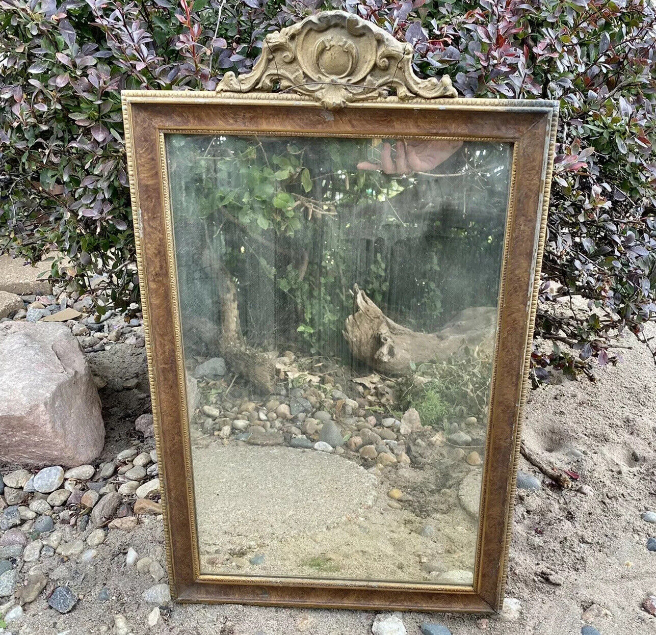 Antique Wood Mirror Wall Hanging Gesso Ornate Gold Vintage Gilt 22”x14”