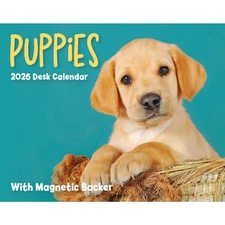 Carousel Calendars,  Puppies 2026 Desk Calendar, 2.95'' X 3.62'', 16-Month Calen