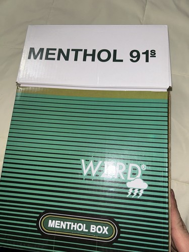 Nueva Zapatilla Deportiva WZRD®️ Menthol 91’s Para Hombre Talla 10 Extremadamente Rara - Imagen 7 de 17