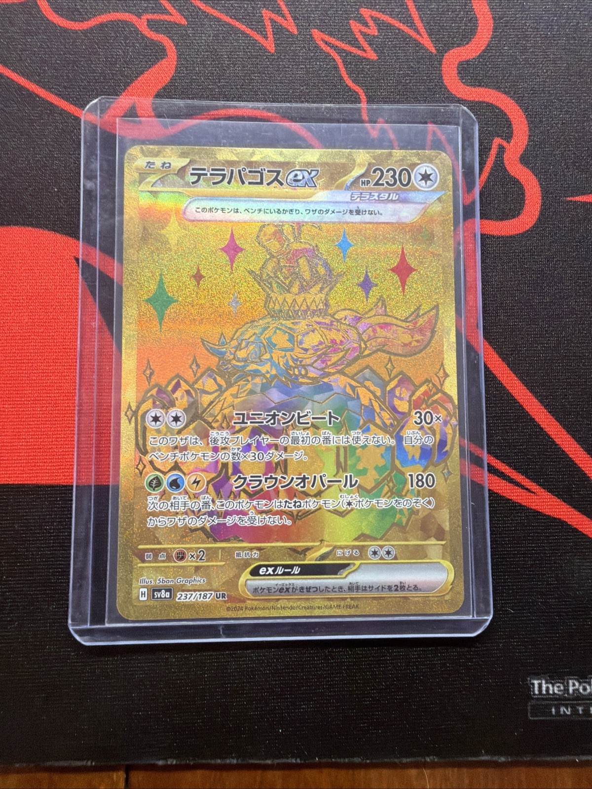 2024 Pokémon Japanese Terapagos ex 237/187 SV8a Terastal Festival Ultra Rare NM
