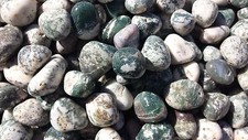 TREE AGATE TUMBLED STONE 1 MEDIUM/LARGE NATURAL TUMBLE STONE