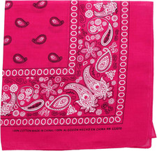 22 Inch Cotton Paisley Bandana